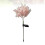 Spotlight Globe Creative Decor Parks 70X20 CM Pink 8