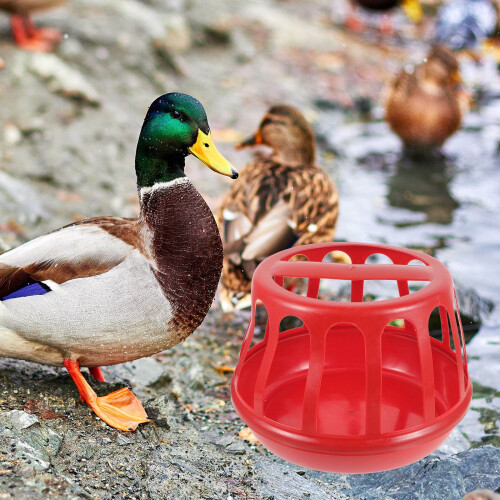 1Pack Plastic Rectangular Chicken Feeder for Poultry Food Feeding Container Outdoor Use 11.0X11.0X8.2In 1