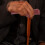 Walking Stick Men's Cane Handle for Mobility Challenges Women's 8