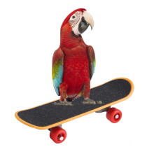 Parrot Perch Skateboard Stand - Durable Plastic Bird Toy for Training & Play
