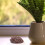 Decorative Brown Pine Cone Key Storage Box for Outdoor Garden Use 7