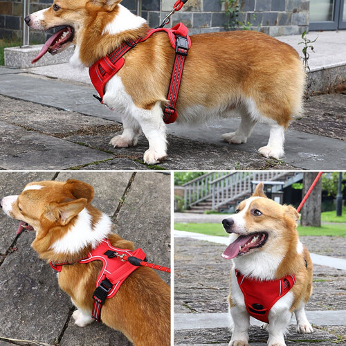 No Pull Dog Harness Front Clip Heavy Duty Reflective Easy Control Handle for Large Dog Walking(Red,M) 1