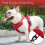 No Pull Dog Harness Front Clip Heavy Duty Reflective Easy Control Handle for Large Dog Walking(Red,M) 8