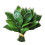 Karymi Green PVC Grapefruit Leaf Fridge Magnet 1.9x1.9 inch 2