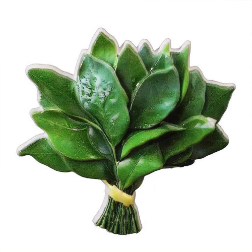 Karymi Green PVC Grapefruit Leaf Fridge Magnet 1.9x1.9 inch 1
