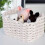 (White) 2PCS Small Woven Storage Baskets for Nursery 1