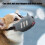 Silicone Dog Muzzle Gray Small Adjustable Rhino Design 5