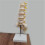 2X Teaching Equipment Model 5-Segment Lumbar Spine with Sacral Accessory Orthopedic Teaching Display Teaching Aids 6