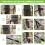 Kids Camping Hammock Ultralight with Tree Straps and 6
