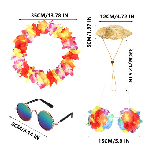 Costume da oca con cappello a tesa larga e occhiali da sole 2