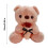 SDJMA Ημέρα του Αγίου Βαλεντίνου Rose Doll Παιχνίδι Δώρο για Παιδιά Γενέθλια Διακόσμηση 2