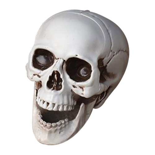 Realistic Plastic Halloween Skeleton Decorations, Mini Skull & Bone Models – Compatible with Halloween Props 1