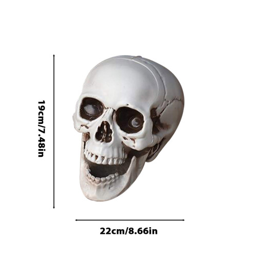 Realistic Plastic Halloween Skeleton Decorations, Mini Skull & Bone Models – Compatible with Halloween Props 2