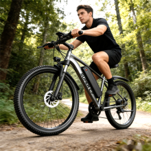 26" Adults Electric Mountain Bike 48V 250W 13AH 25kmh