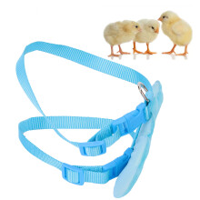 Blaues XS-Ente Geschirr mit Leine für Spaziergänge im Freien, verstellbares Nylon-Hundegeschirr