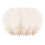 Colorful Plumage Decor Set 2 Pieces 2
