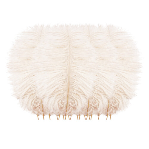 Colorful Plumage Decor Set 2 Pieces 1
