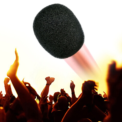 Black Microphone Windscreen Cover 10 pcs 1