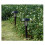 Solar Bug Zapper Outdoor Indoor Waterproof Mosquito Fly 5