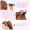 Ponytail Accessories Insert Comb for Decor Adds Volume and Bounce 4Pcs 5