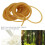 Gelber Latex-Gummiband, 10 Meter, Hoch elastisch, 2 mm Innendurchmesser 3