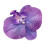 Κλιπ μαλλιών Xinwanna Phalaenopsis με σχέδιο λουλουδιών από μετάξι, φουρκέτα, με σχέδιο 6