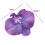 Κλιπ μαλλιών Xinwanna Phalaenopsis με σχέδιο λουλουδιών από μετάξι, φουρκέτα, με σχέδιο 7