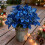 Glitzernde blaue künstliche Weihnachtssternblume mit Stiel – 2