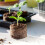 (30*15mm) Seed Starter Peat Pellets for Plants & Herbs 1