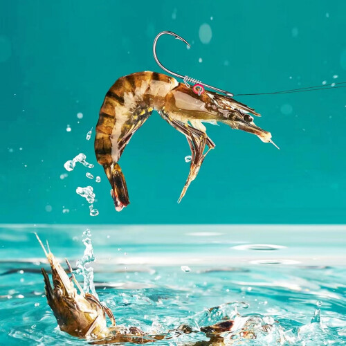 (10pcs) Sharp Barbed Fishing Hooks for Salt & Freshwater