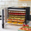Cooks Professional Cooks Professional 6 Tier Food Dehydrator 3
