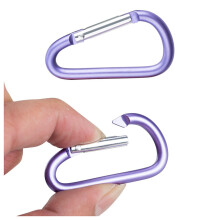 40Pcs D- Locking Carabiner Keychain Spring Clip Lock Carabiner Hook Outdoor Camping Equipmengt