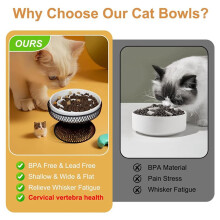 2X Verhoogde Keramische Voerbak voor Katten, Verhoogde Kattenbak met Standaard, Voerbak voor Nat en Droog Voer, Vriendelijk voor Huisdieren