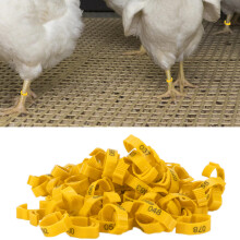100 Stück Geflügelbeinformen mit Nummern zur Identifikation für Hühner und Enten