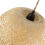 Rattan Dome Pendant Light Dimmable 7