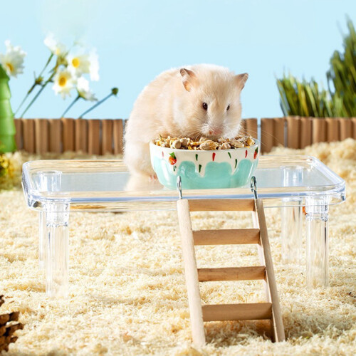 Transparent Detachable Hamster Platform with Clear Food 2