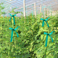 (1.2cm) PVC Garden Plant Ties, Waterproof & Durable