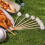 1000Pieces Baseball Decorative Bamboo Cocktail Picks Decorative Fruit Toothpicks 8