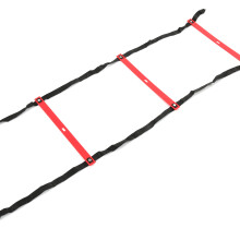 High Visibility Fixed Agility Ladder 12 Rung