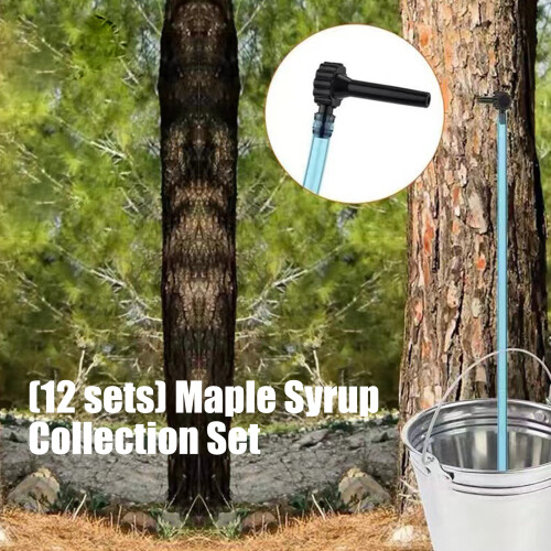 Kit complet de collecte de liquide d'arbre de 12 pièces 1