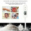 Lightweight Salt Concentration Meter With Battery Ideal For 4