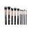 10 Piece Portable Makeup Brush Set for Foundation and Eye Shadow Application 3
