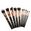10 Piece Portable Makeup Brush Set for Foundation and Eye Shadow Application 5