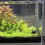 Αντλία νερού χωρίς ψήκτρες 12V DC Fontain Garden Mini Fountain Standing 3