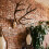 European Mount Skull Hanger Antler Shape 3 Pack 6