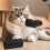 Deshedding Dog Brush for Shedding 5