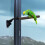 Toysmith Wooden Suction Cup Bird Perch 1 Piece 7