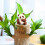 Panda Figurines Plastic Jungle Animal Set with Bamboo and 6
