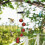 Hummingbird Feeder Wind Chime Waterproof Squirrel Proof 5