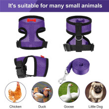 Adjustable Breathable Chicken Harness with 3.6 Feet Leash Yellow S